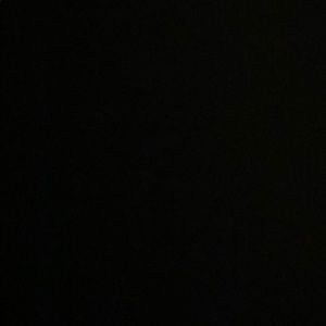 Meet your Posher, Pastor t